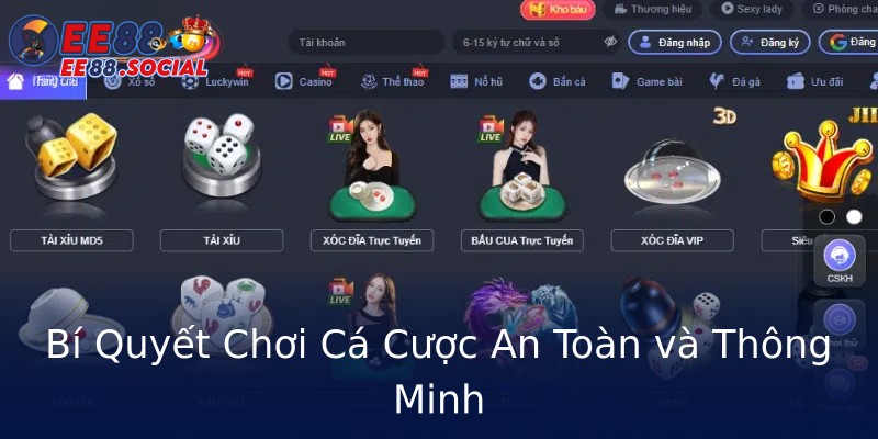 Bí Quyết Chơi Cá Cược An Toàn và Thông Minh