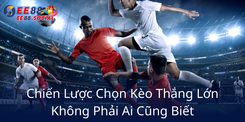 Chien Luoc Chon Keo Thang Lon Khong Phai Ai Cung Biet7