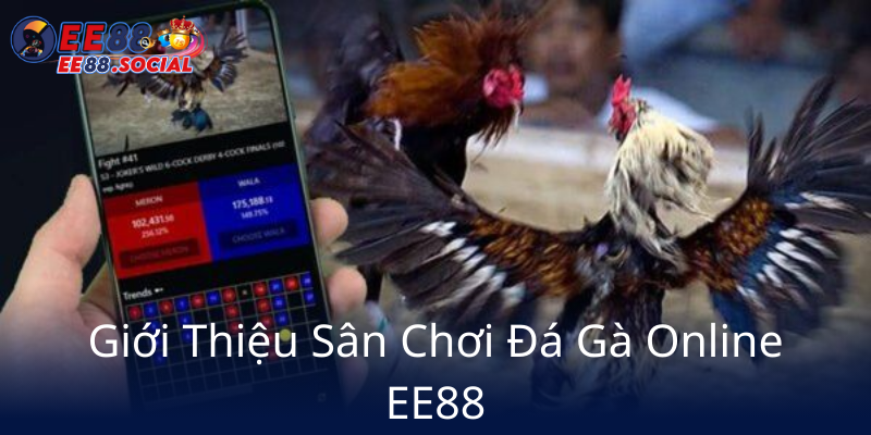 Gioi Thieu San Choi Da Ga Online Ee889