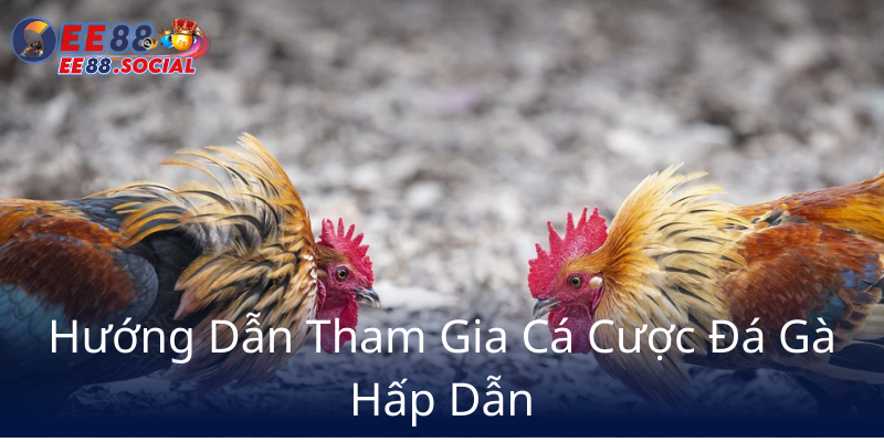 Huong Dan Tham Gia Ca Cuoc Da Ga Hap Dan9