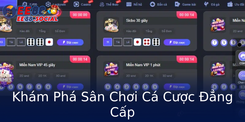 Khám Phá Sân Chơi Cá Cược Đẳng Cấp