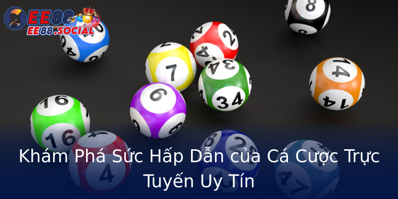 Khám Phá Sức Hấp Dẫn của Cá Cược Trực Tuyến Uy Tín