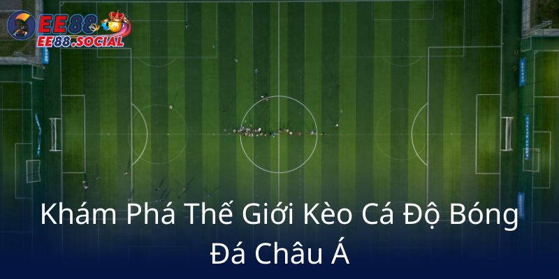 Kham Pha The Gioi Keo Ca Do Bong Da Chau A6