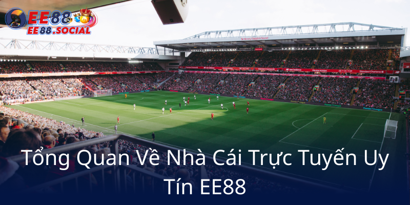 Tong Quan Ve Nha Cai Truc Tuyen Uy Tin Ee886